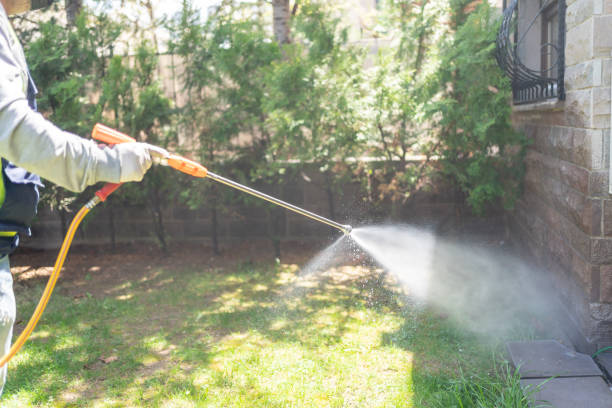 Best Fumigation Services  in Hornell, NY